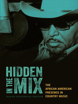 cover image of Hidden in the Mix
